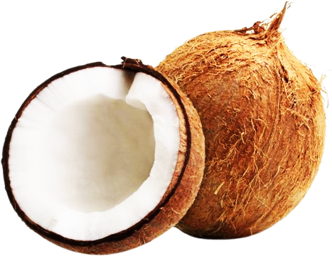 Coconut Large